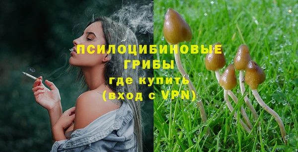 амф Лагань