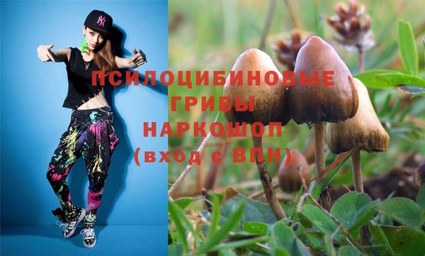 соль курить ск Алексеевка
