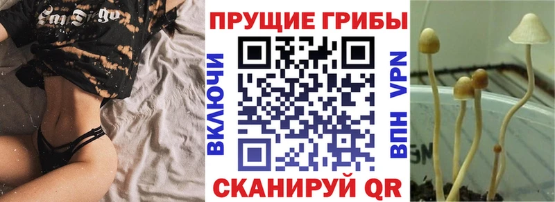 Псилоцибиновые грибы GOLDEN TEACHER закладка Алдан